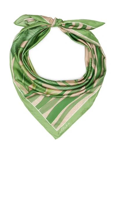 Ettika Botanical Garden Scarf In Green