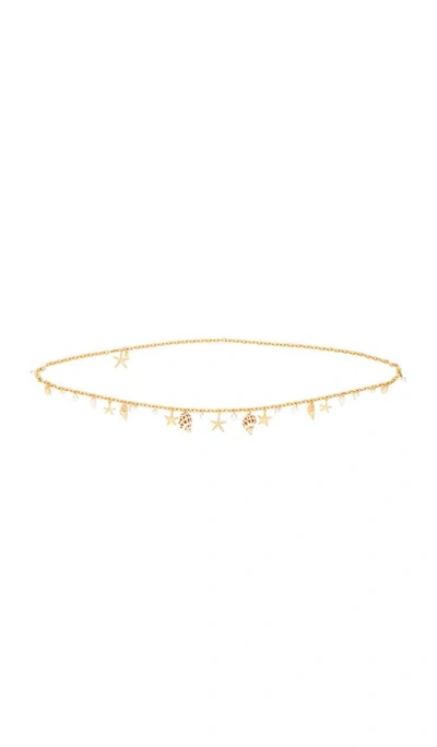 Ettika Coastal Treasure Belt In Gold