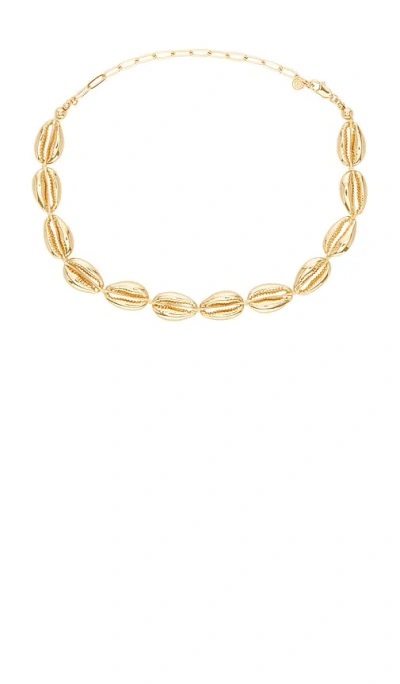 Ettika Cowrie Plated Necklace In Metallic Gold