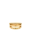 Ettika Elegance Band Ring