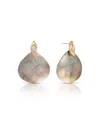 Ettika Gold-tone Shell Statement Earrings In Multi
