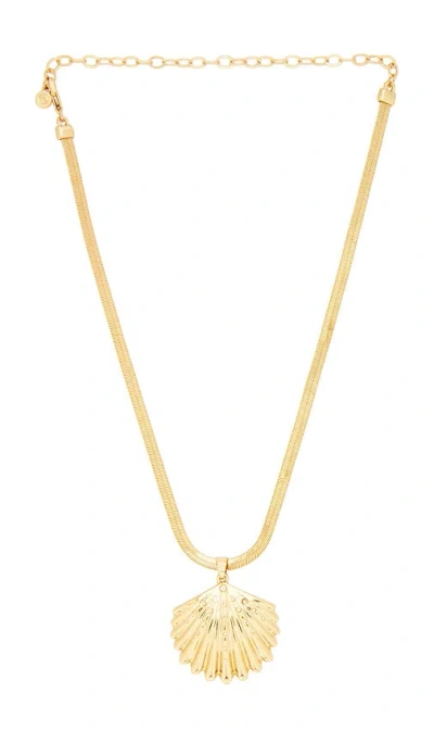 Ettika Herringbone Shell Necklace In Black