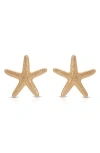 Ettika Statement Starfish Large Stud Earrings In Gold