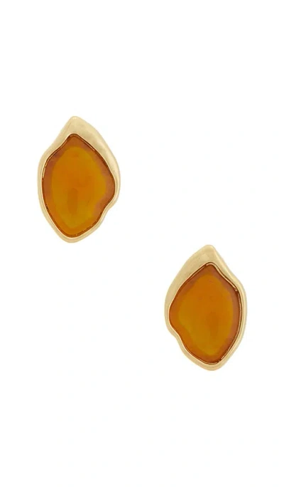 Ettika Molten Treasure Stud Earrings In Gold