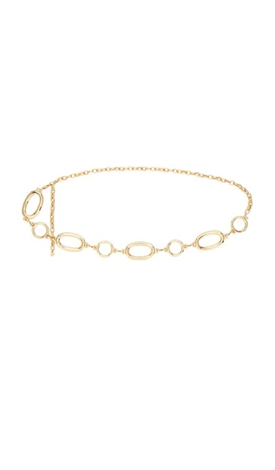 Ettika Multi-ring Chain Belt In Gold