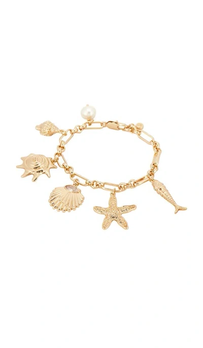 Ettika Oceanic Dreams Charm Bracelet In 金色