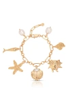 Ettika Oceanic Dreams Charm Bracelet In Gold