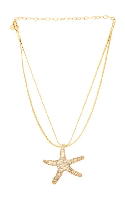 Ettika Pav? Starfish Necklace In Black