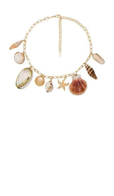 Ettika Private Island Assorted Shell Necklace In 金色