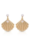 Ettika Scallop Shell With Cultivated Pearl Earrings In Gold