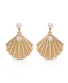 Ettika Scallop Shell With Cultivated Pearl Earrings In Gold