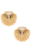 Ettika Scalloped Shell Post Earrings