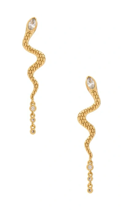 Ettika Serpent Slither Drop Earrings In Clear Crystal & Gold