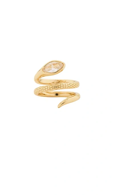 Ettika Serpent Wrap Ring In Clear Crystal & Gold