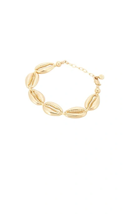 Ettika Seven Seas Shell 18k Gold Pated Shell Bracelet