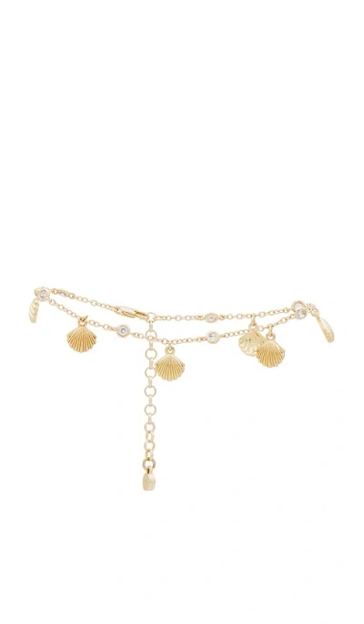 Ettika Shell Anklet In Metallic Gold