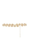 Ettika Shell Belly Chain In Metallic Gold