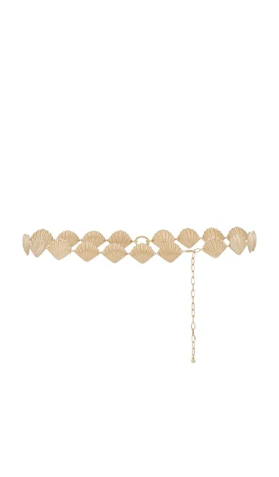 Ettika Shell Belly Chain In Metallic Gold
