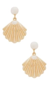 Ettika Scallop Shell With Cultivated Pearl Earrings In Metallic Gold