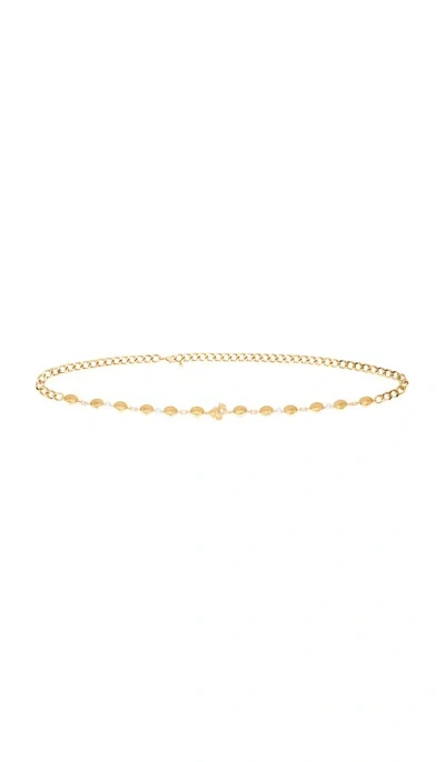 Ettika 腰带 In Gold
