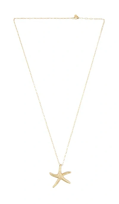 Ettika Starfish Link Chain Necklace