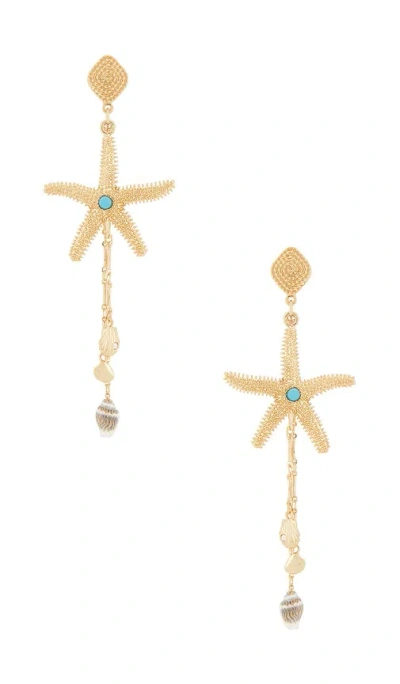 Ettika Starfish Seeker Drop Earrings In 골드