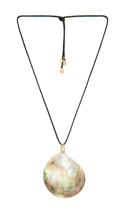 Ettika Statement Shell Cord Necklace In Multi