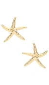 Ettika Statement Starfish Stud Earrings