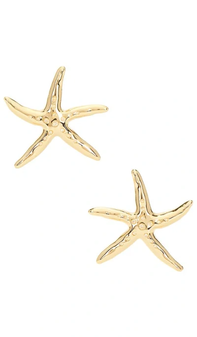 Ettika Statement Starfish Stud Earrings