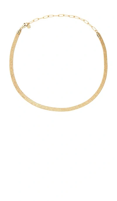 Ettika Textured Flat Chain Necklace In Gold