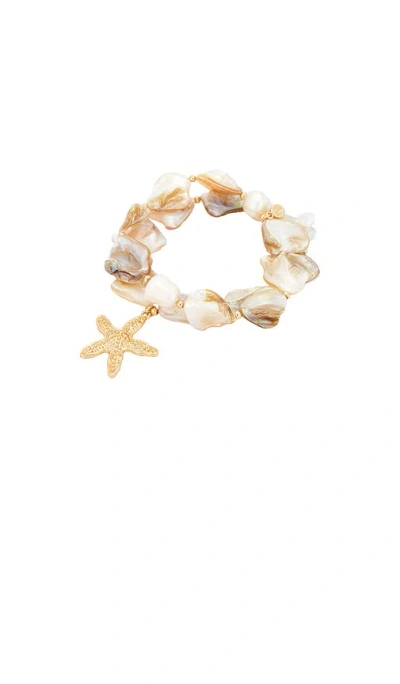 Ettika True Shell Bracelet Set In Brown
