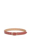 Ettika Stud Leather Belt In Brown