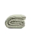 Ettitude Luxe Cleanbamboo Sateen+ Duvet Cover, Full/queen In Fern