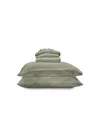 Ettitude Luxe Cleanbamboo Sateen+ Sheet Set, Queen In Fern