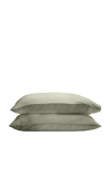 Ettitude Standard Cleanbamboo Sateen+ Pillowcase Set In Green