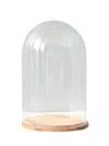 ETU HOME GLASS BELL JAR WITH WOOD BASE