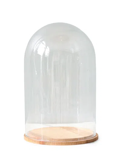 Etu Home Glass Bell Jar With Wood Base In Clear
