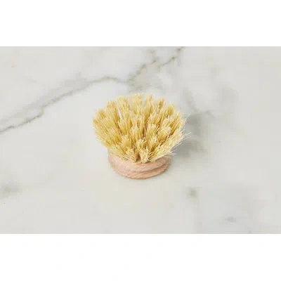 Etúhome Euro Dish Brush Replacement Head In Neutral