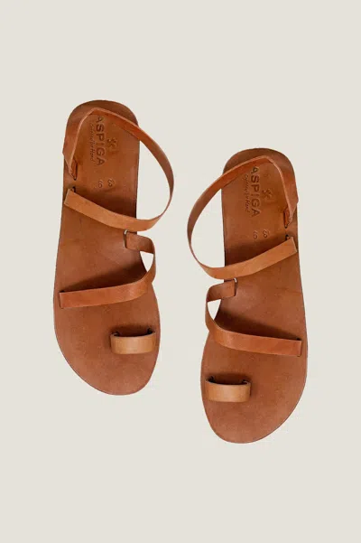 Eunice Aspiga Leather Toe Ring Design Soft Sole Sandal In Brown