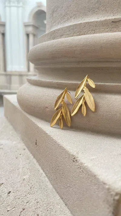 Eunoé Women's Gold Trigo Earrings