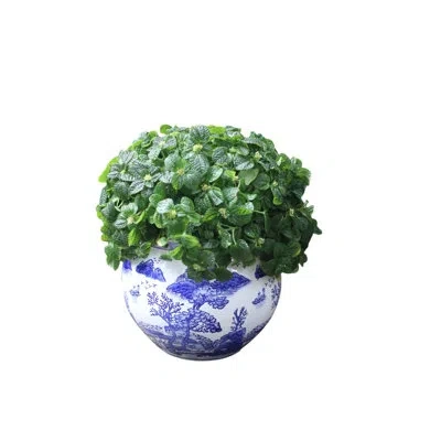 Euro Ceramica Blue & White 11" Planter Pot - Landscape Design In Blue;white