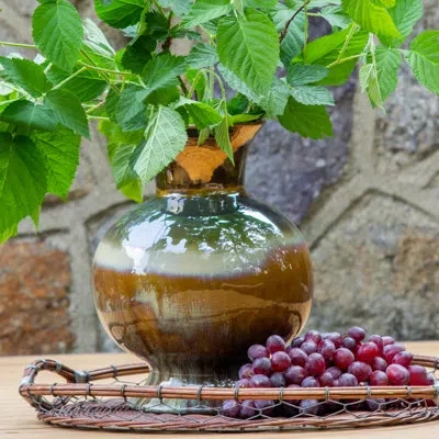 Euro Ceramica Patina Verde Flared Globe Vase In Brown;metallic