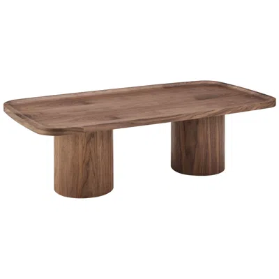 Euro Style Boden 47" Rectangle Coffee Table In Brown