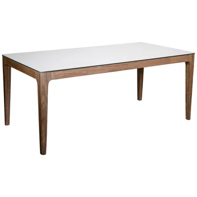Euro Style Haldis 70 3/4" Wide White Ceramic Walnut Veneer Dining Table
