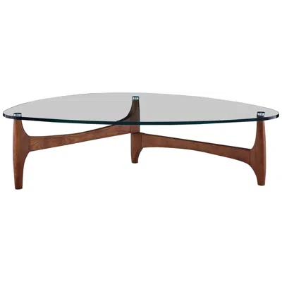 Euro Style Ledell 52 1/4" Wide Walnut Ash Wood And Glass Modern Coffee Table