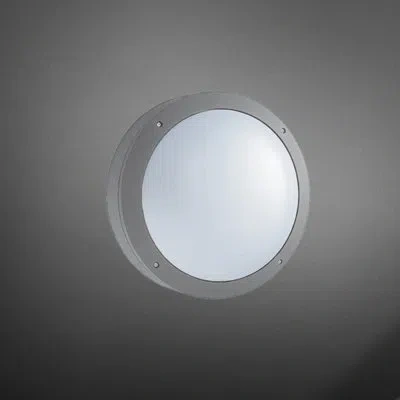 Eurofase 1-light Outdoor Flush Mount In Frosted,grey