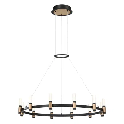 Eurofase Albany 31 1/2"w Brass Black 12-light Led Chandelier