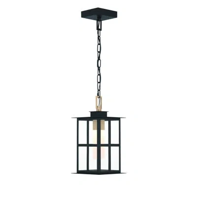 Eurofase Greyson 16" Led Pendant In Brass And Black In Brass-black