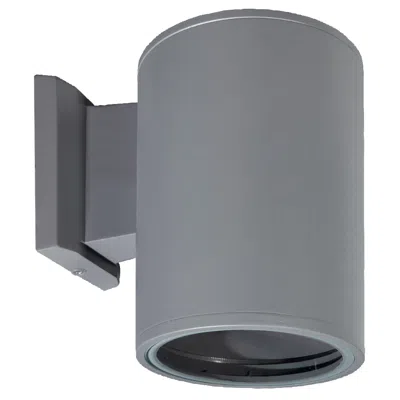 Eurofase Outdr,wllmnt,50w Par20,rd,dnlt In Gray