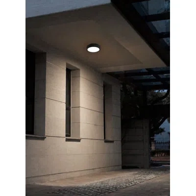 Eurofase Patrol Ceiling Mount, 15w, Black Finish